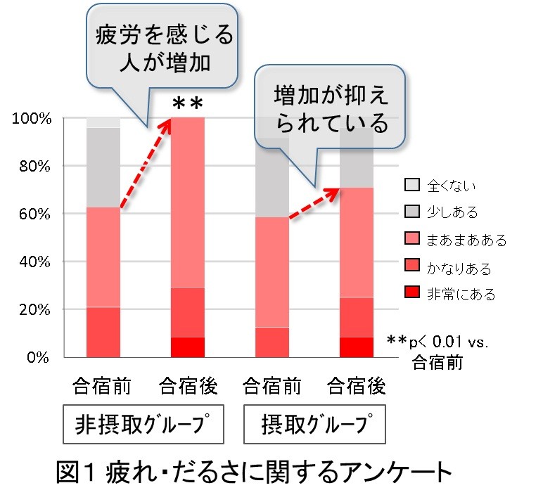 今回のテストにおける、被験者の選択式アンケート「疲れ・だるさ」の結果