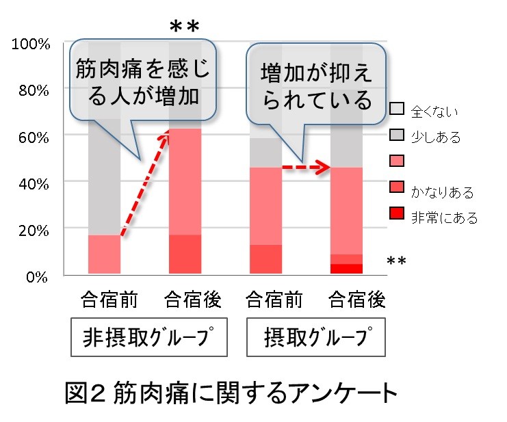 今回のテストにおける、被験者の選択式アンケート「筋肉痛」の結果