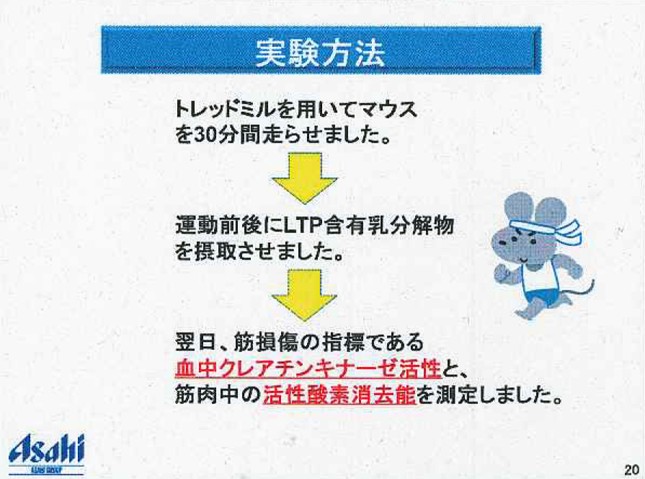 「LTP」含有乳タンパク分解物のマウス実験方法