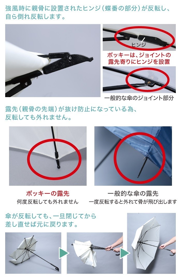 骨に設置したヒンジがポイント