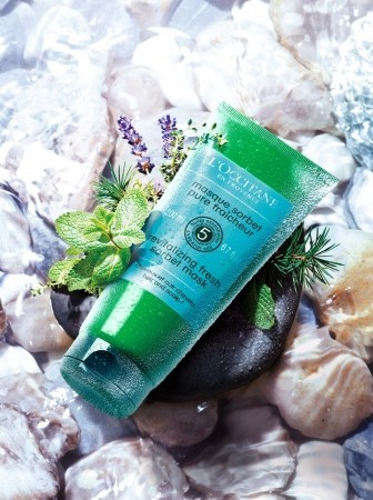 ロクシタン「ピュアフレッシュネスソルベヘッドスパ」...夏の髪と地肌を健やかに