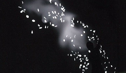 緒方壽人(takram design engineering)「SAKURA」(C)hisato OGATA (takram design engineering)