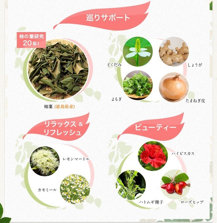 柿葉はじめ10種の力で美しくなる