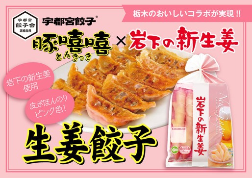 「宇都宮餃子 豚きっき 生姜餃子～岩下の新生姜使用～」商品パッケージ