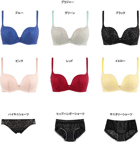 極彩色の南国の鳥をイメージ