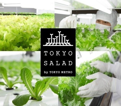 「とうきょうサラダ」を使ったグルメフェア、新宿高島屋