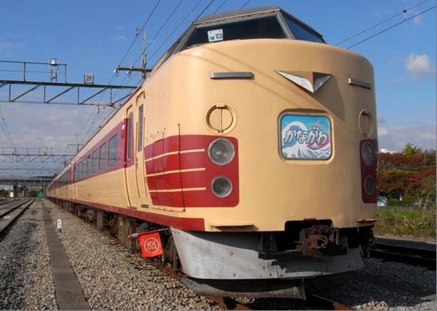 団体臨時列車「189系で行く神奈川満喫号」　貨物線を走る11月6日日帰りの旅