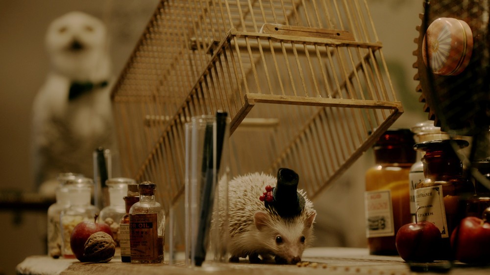 ピタゴラ装置には、フクロウやハリネズミも登場する