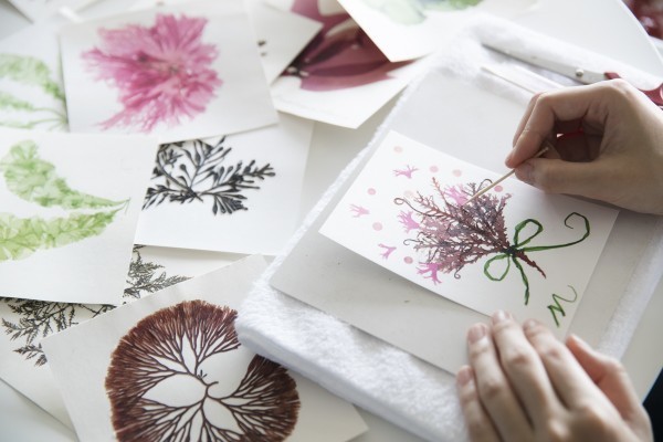 海藻グリーティングカード作り