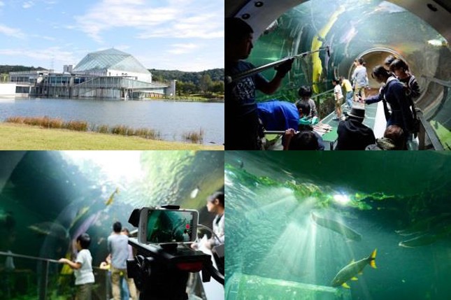 「水族館」篇の舞台、「なかがわ水族館」