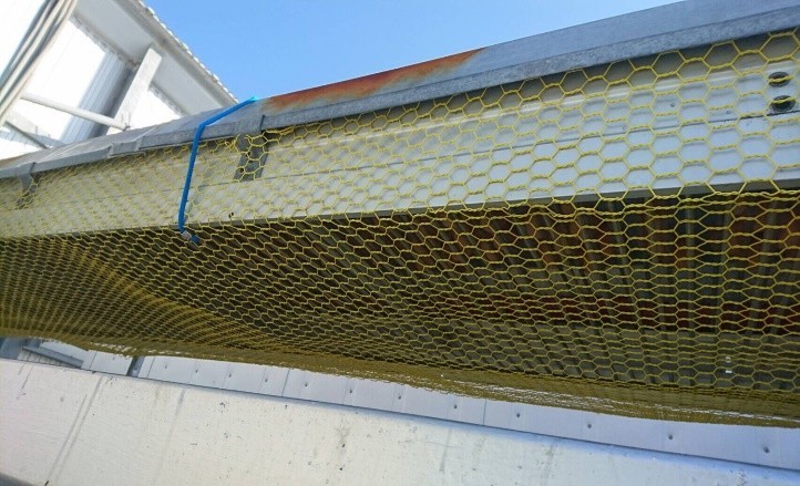 鳥インフルエンザに悩む韓国から注文殺到、ウイルス不活性効果のある「ネズミ侵入防止ネット」