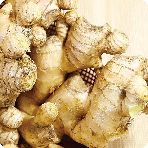 徳之島生姜画像