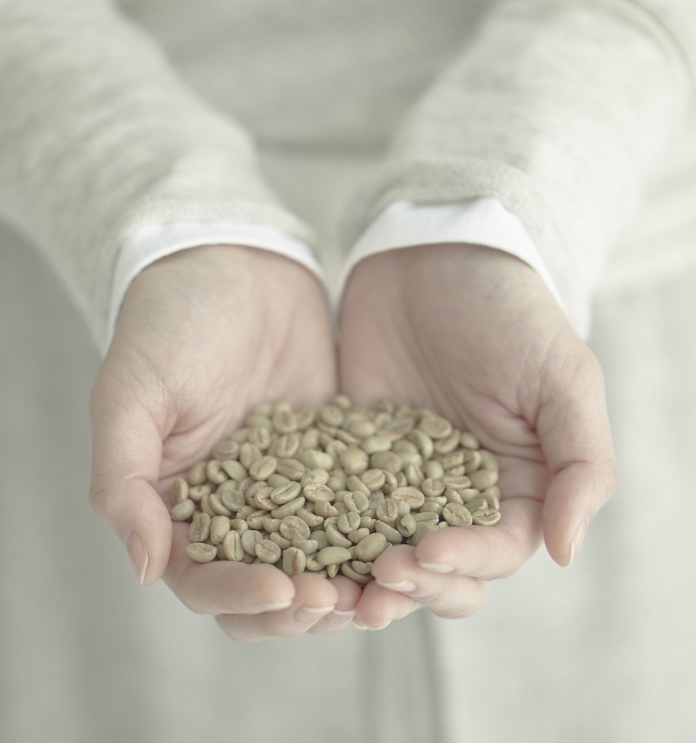 厳しい品質管理と安全基準で選定した世界中の良質なスペシャルティ豆を季節ごとの4つのテーマにあわせて毎月お届け