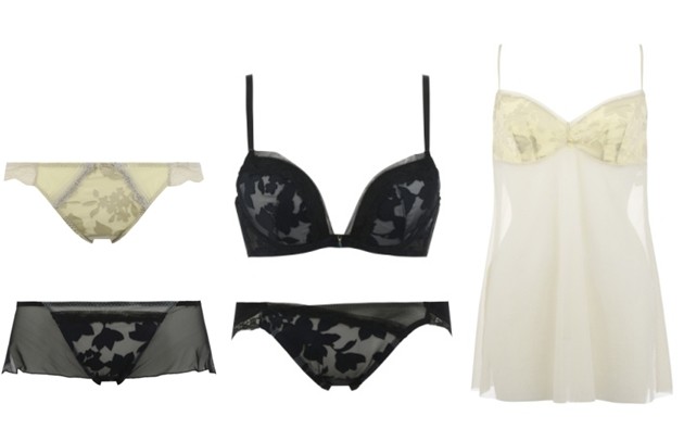 日の光がドラマティックに映し出す草花の影をイメージ