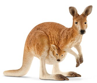 ワイルドライフシリーズの「カンガルー」