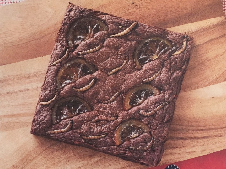 「ミールワームのオレンジブラウニー」