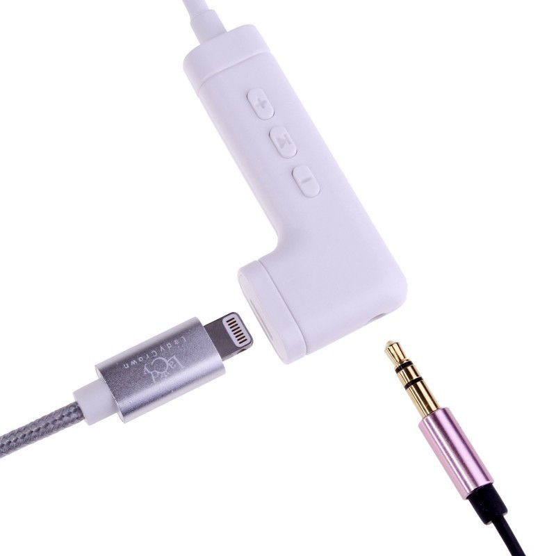 3.5ミリステレオミニジャックとLightningコネクター