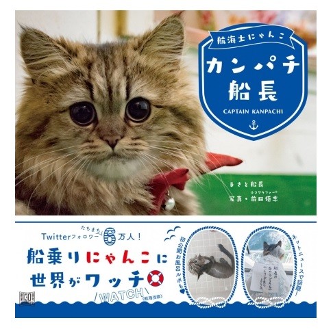 フォロワー6万人超えの、船で暮らす猫の写真集