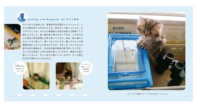 子猫時代の写真も掲載