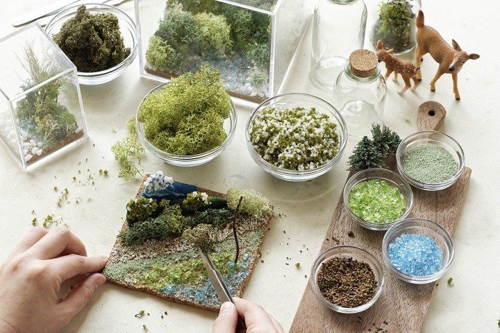 ガラスの容器に植物や苔を飾る「テラリウム」は、おしゃれなインテリアとして人気を集めている