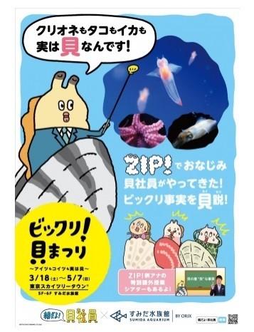 「ZIP！」で放送中の「朝だよ!貝社員」×すみだ水族館