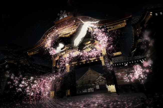 二条城初！　本物の桜×ネイキッドの先進アートで新感覚お花見体験