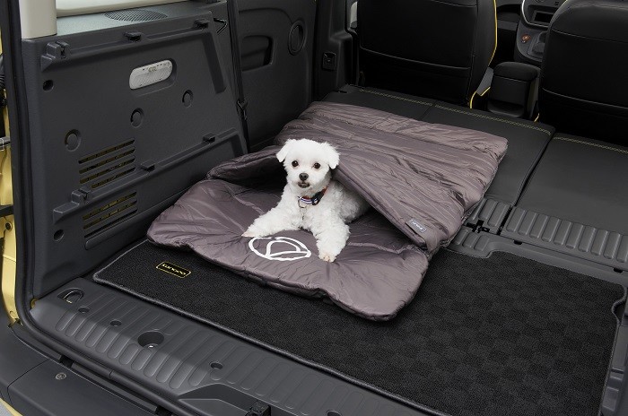 ペットアイテムを装備した限定車登場！
