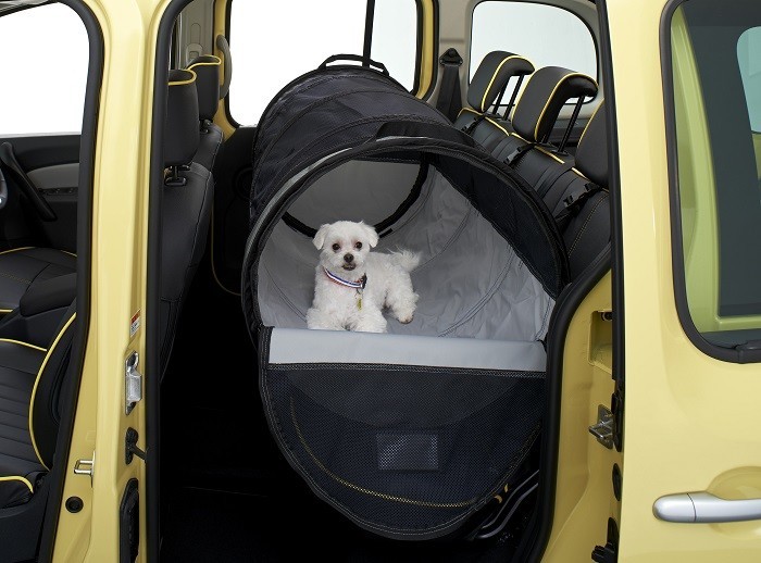 ペットアイテムを装備した限定車登場！
