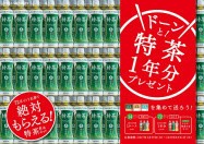 「伊右衛門　特茶」から新提案のジャスミン茶

