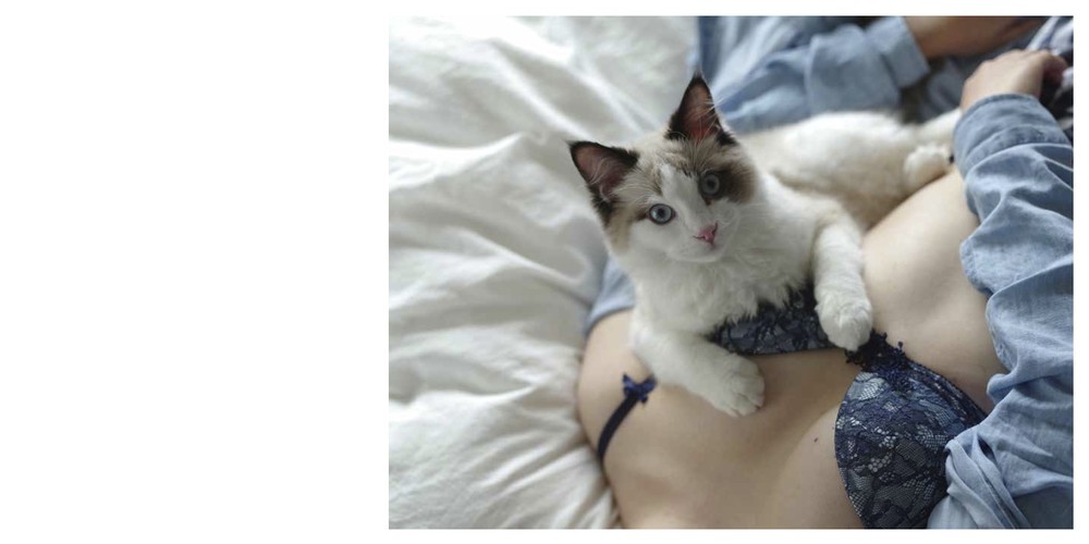 一部中身（玄光社提供）