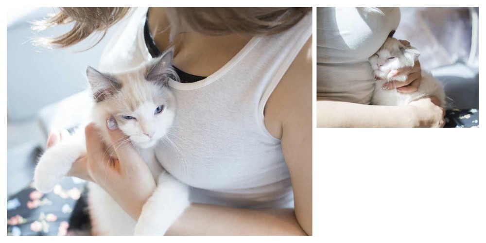 一部中身（玄光社提供）