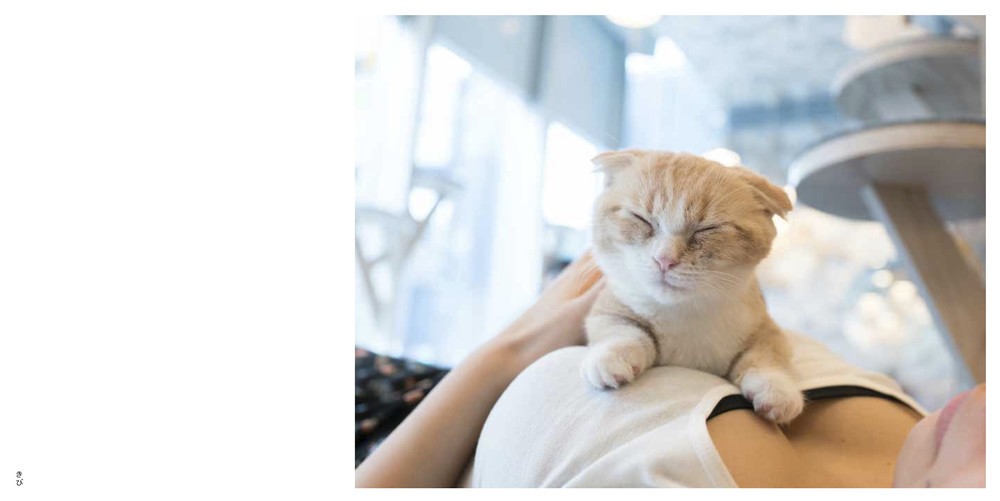 一部中身（玄光社提供）