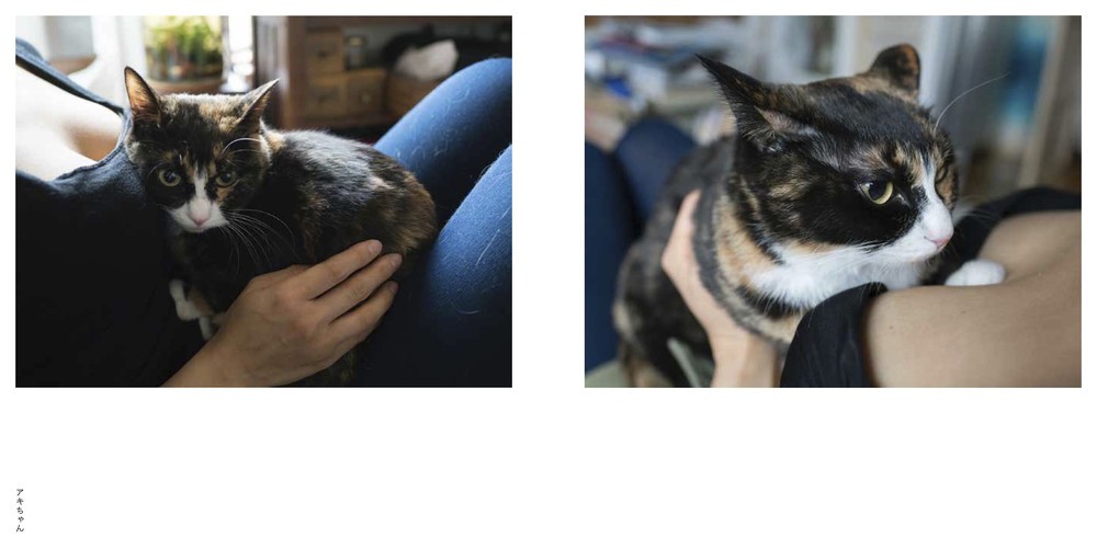 一部中身（玄光社提供）