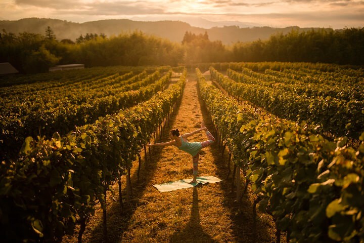 夏のワインリゾートを満喫　星野リゾート、リゾナーレ八ヶ岳の「シャルドネステイ」