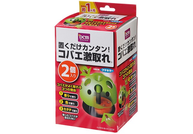 「DCMブランド　コバエ激取れ」