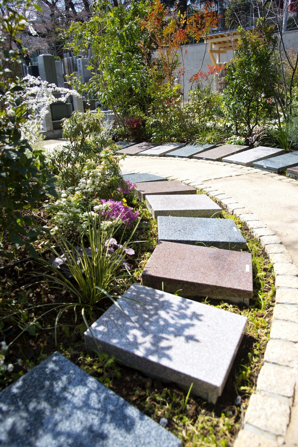 女性に人気でペットも可　美しい花や木に囲まれ眠る「樹木葬」の体験イベント