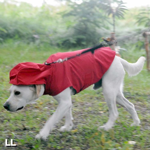 「雨ん歩（あめんぽ)」も快適