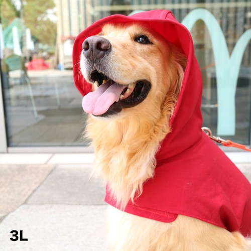 3Lは大型犬にぴったり