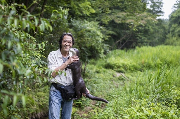 日韓でカワウソの保存に乗り出す <br/> ある早朝「獺祭」を目撃して歓喜