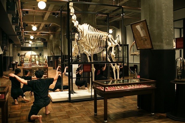 東京駅前の博物館を舞台に　日韓の演劇人の才能がぶつかりあう