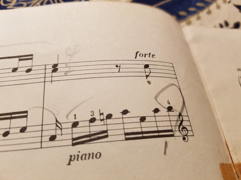 合奏と独奏部分を意識させるために、この時代としては異例な強弱記号、forte とpianoが楽譜上に記されている