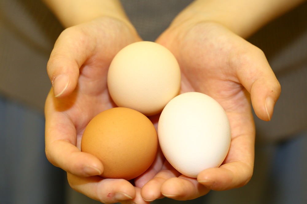 新鮮なたまごを使用