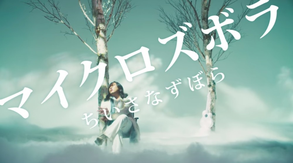 主婦の「マイクロズボラ」を肯定する楽曲