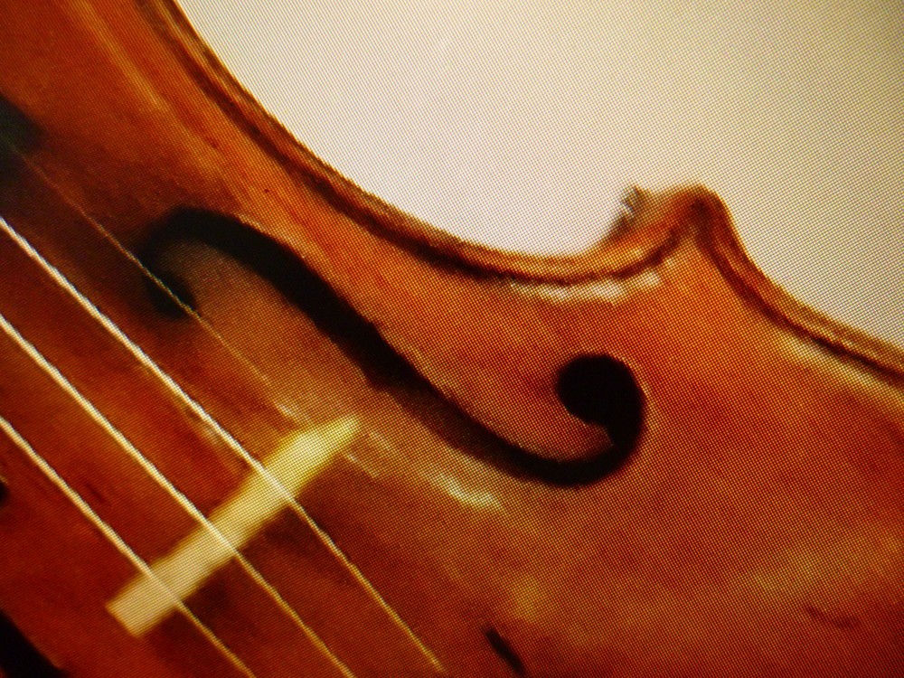 17世紀イタリア・クレモナで作られたヴァイオリンの名器の一部