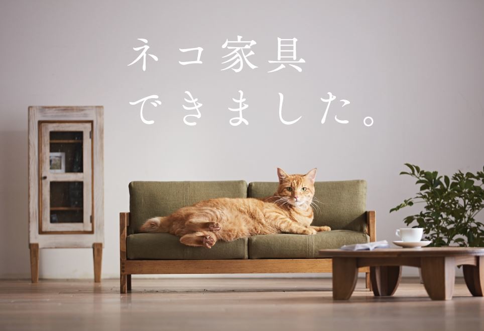 「ネコ専用」家具が爆誕　ソファ、ベッド...かわいいにゃ～！
