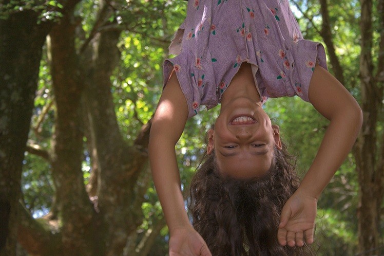 『秘密の学校』（The Scarecrow Girl）