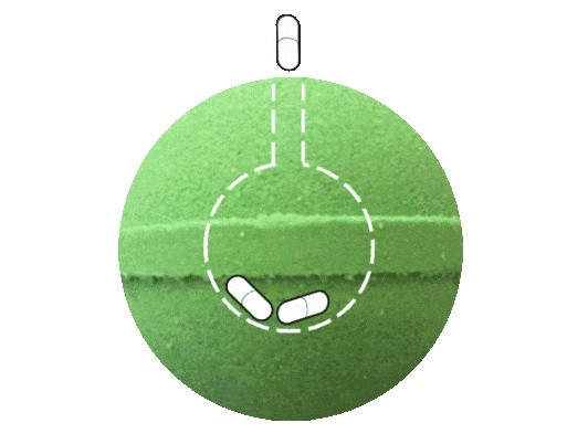 カプセルを投入する（イメージ）
