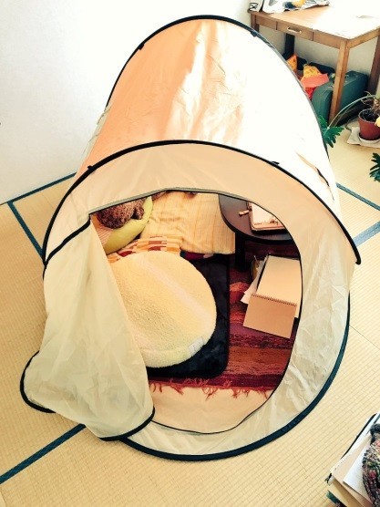 「室内テント」が密かなブーム　「人をダメにする」超快適空間