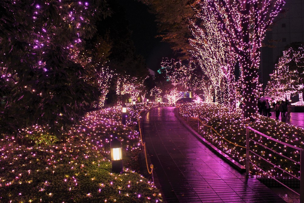 新宿テラスシティにピンクのイルミ　全長888メートルに輝く「真冬のサクラ」