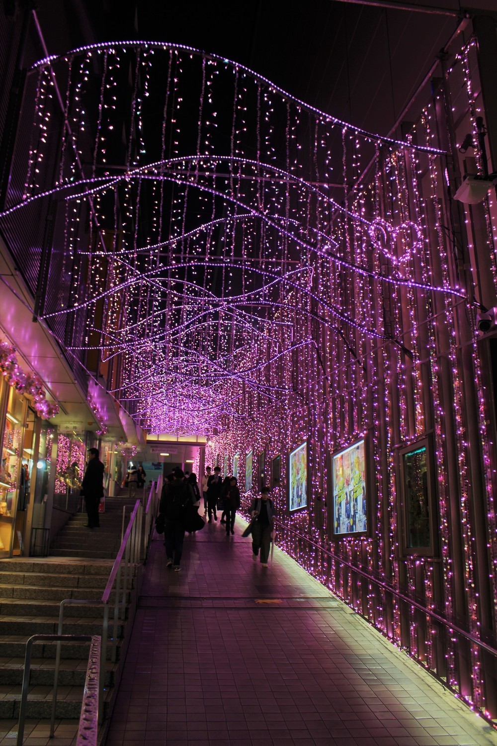 サクラカラーに輝く